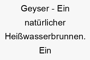 geyser ein natuerlicher heisswasserbrunnen ein sprudelnder name fuer einen energiegeladenen hund 19789