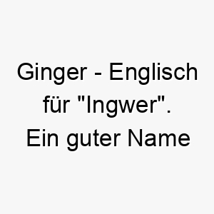 ginger englisch fuer ingwer ein guter name fuer einen hund mit rotem oder goldenem fell 19841