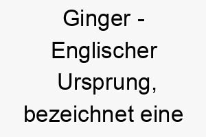 ginger englischer ursprung bezeichnet eine rote oder orangene farbe bedeutung als hundename passend fuer einen hund mit rotem oder orangefarbenem fell 14371