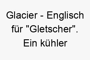 glacier englisch fuer gletscher ein kuehler name fuer einen hund mit weissem fell oder einer ruhigen persoenlichkeit 19640