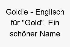 goldie englisch fuer gold ein schoener name fuer einen hund mit goldenem fell 19642