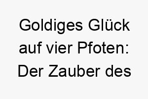 goldiges glueck auf vier pfoten der zauber des kleinen hundes nugget 23126