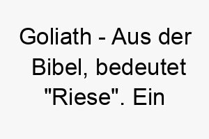 goliath aus der bibel bedeutet riese ein starker name fuer einen grossen hund 19628