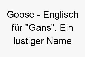 goose englisch fuer gans ein lustiger name fuer einen klugen oder witzigen hund 19803