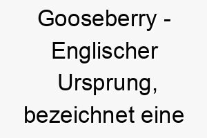 gooseberry englischer ursprung bezeichnet eine frucht bedeutung als hundename passend fuer einen suessen liebenswerten hund 14339