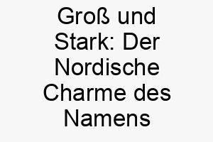 gross und stark der nordische charme des namens north fuer hunde mit power 23137