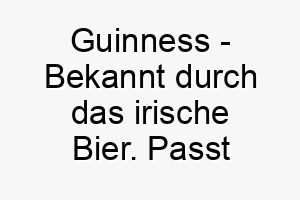 guinness bekannt durch das irische bier passt gut zu einem hund mit dunklem fell 19615