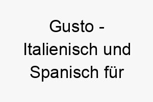 gusto italienisch und spanisch fuer geschmack ein guter name fuer einen hund der gerne isst 19810