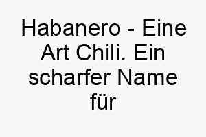 habanero eine art chili ein scharfer name fuer einen hund mit einer wuerzigen persoenlichkeit 19981