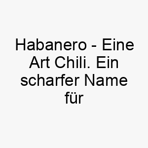 habanero eine art chili ein scharfer name fuer einen hund mit einer wuerzigen persoenlichkeit 19981