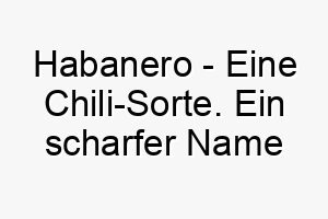 habanero eine chili sorte ein scharfer name fuer einen hund mit einer wuerzigen persoenlichkeit 20019