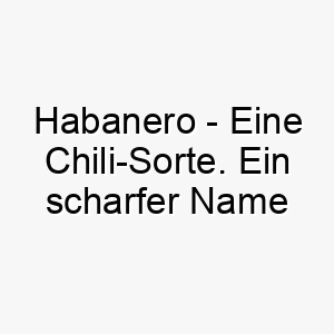 habanero eine chili sorte ein scharfer name fuer einen hund mit einer wuerzigen persoenlichkeit 20019