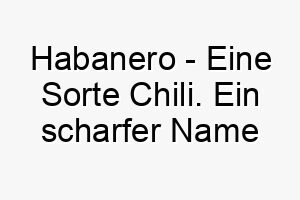 habanero eine sorte chili ein scharfer name fuer einen hund mit einer feurigen persoenlichkeit 20023