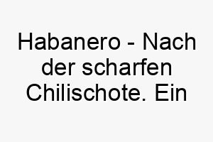 habanero nach der scharfen chilischote ein wuerziger name fuer einen hund mit viel temperament 20081