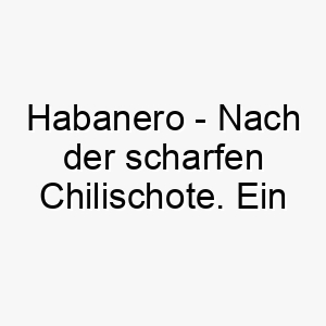 habanero nach der scharfen chilischote ein wuerziger name fuer einen hund mit viel temperament 20081