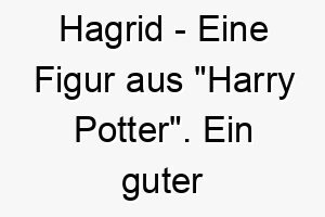 hagrid eine figur aus harry potter ein guter name fuer einen grossen liebevollen hund 19974