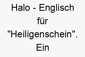 halo englisch fuer heiligenschein ein himmlischer name fuer einen liebenswerten oder besonders guten hund 20063