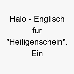 halo englisch fuer heiligenschein ein himmlischer name fuer einen liebenswerten oder besonders guten hund 20063