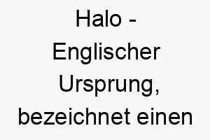 halo englischer ursprung bezeichnet einen lichtkranz bedeutung als hundename geeignet fuer einen strahlenden himmlischen hund 14708