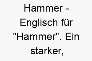 hammer englisch fuer hammer ein starker solider name fuer einen robusten hund 19986