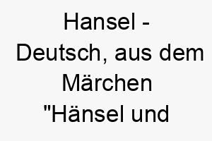 hansel deutsch aus dem maerchen haensel und gretel ein suesser name fuer einen neugierigen oder abenteuerlustigen hund 19964