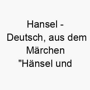 hansel deutsch aus dem maerchen haensel und gretel ein suesser name fuer einen neugierigen oder abenteuerlustigen hund 19964