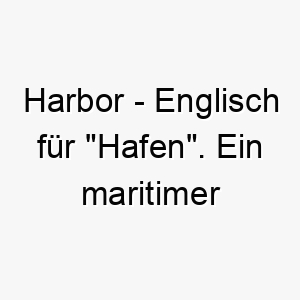 harbor englisch fuer hafen ein maritimer name ideal fuer einen hund der das wasser oder die kueste liebt 20075