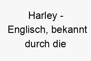 harley englisch bekannt durch die harley davidson motorraeder ein cooler name fuer einen hund mit einer rebellischen persoenlichkeit 20085