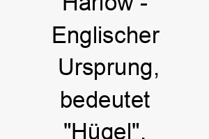 harlow englischer ursprung bedeutet huegel bedeutung als hundename perfekt fuer einen robusten starken hund 14697