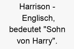 harrison englisch bedeutet sohn von harry ein wuerdevoller name fuer einen hund 19977