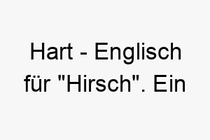 hart englisch fuer hirsch ein majestaetischer name fuer einen stolzen oder unabhaengigen hund 20003