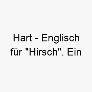 hart englisch fuer hirsch ein majestaetischer name fuer einen stolzen oder unabhaengigen hund 20003