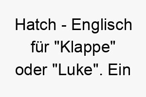 hatch englisch fuer klappe oder luke ein lustiger name fuer einen kleinen quirligen hund 19996