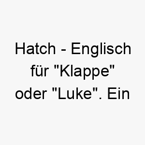 hatch englisch fuer klappe oder luke ein lustiger name fuer einen kleinen quirligen hund 19996