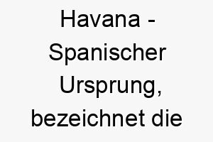 havana spanischer ursprung bezeichnet die hauptstadt von kuba bedeutung als hundename geeignet fuer einen lebhaften energischen hund 14685