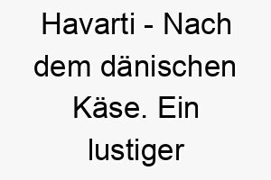 havarti nach dem daenischen kaese ein lustiger name fuer einen hund der essen liebt 20077