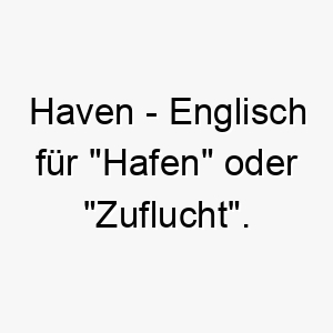 haven englisch fuer hafen oder zuflucht ein beruhigender name fuer einen sicheren und geborgenen hund 19997