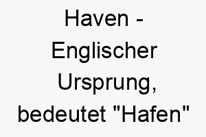 haven englischer ursprung bedeutet hafen oder zuflucht bedeutung als hundename ideal fuer einen sicheren beruhigenden hund 14694