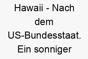 hawaii nach dem us bundesstaat ein sonniger name fuer einen hund der das strandleben liebt 19979