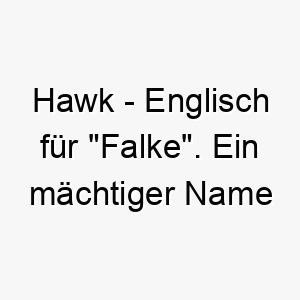 hawk englisch fuer falke ein maechtiger name fuer einen wachsamen schnellen hund 20093