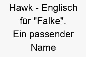 hawk englisch fuer falke ein passender name fuer einen schnellen oder wachsamen hund 19970