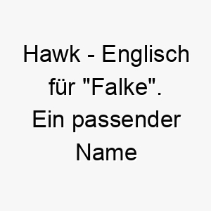 hawk englisch fuer falke ein passender name fuer einen schnellen oder wachsamen hund 19970