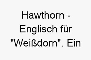 hawthorn englisch fuer weissdorn ein naturnaher name fuer einen hund der die natur liebt 19992