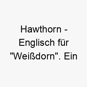 hawthorn englisch fuer weissdorn ein naturnaher name fuer einen hund der die natur liebt 19992