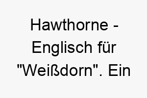 hawthorne englisch fuer weissdorn ein naturnaher name fuer einen hund der die natur liebt 20005