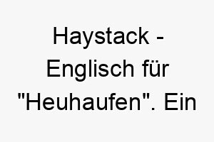 haystack englisch fuer heuhaufen ein lustiger laendlicher name fuer einen hund der das landleben liebt 20052