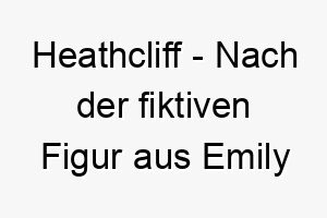 heathcliff nach der fiktiven figur aus emily brontes sturmhoehe ein dramatischer name fuer einen stuermischen hund 20088