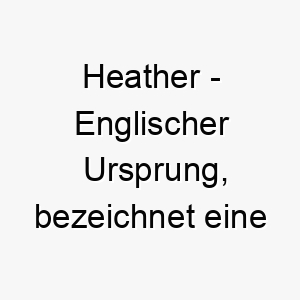 heather englischer ursprung bezeichnet eine pflanzenart bedeutung als hundename passend fuer einen robusten unabhaengigen hund 14695