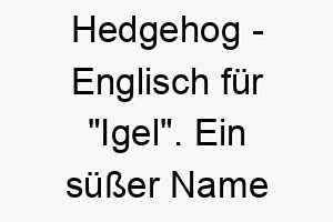 hedgehog englisch fuer igel ein suesser name fuer einen kleinen quirligen hund 20020