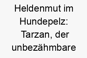 heldenmut im hundepelz tarzan der unbezaehmbare abenteurer 26219